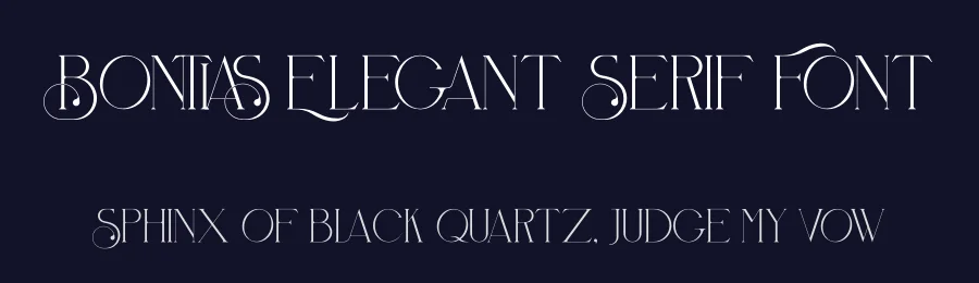 Bontias Elegant Serif Font by Storytype — Serif Font — thumbnail 2