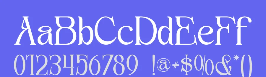 Boogo Font by letterara — Serif Font — thumbnail 3