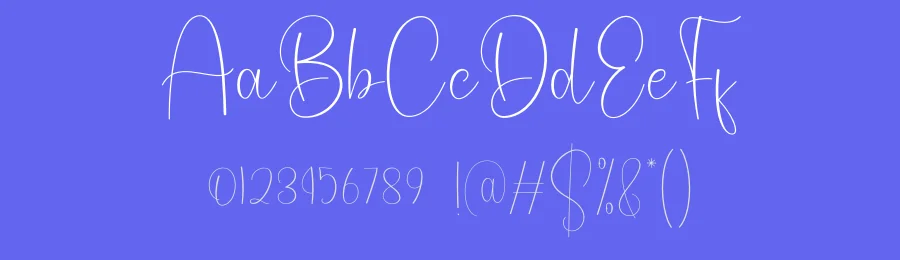 Book Signature – Modern Style Font by creativeletter — Script Handwritten Font — thumbnail 3
