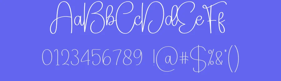 Book Signature Script Font by creativeletter — Script Handwritten Font — thumbnail 3