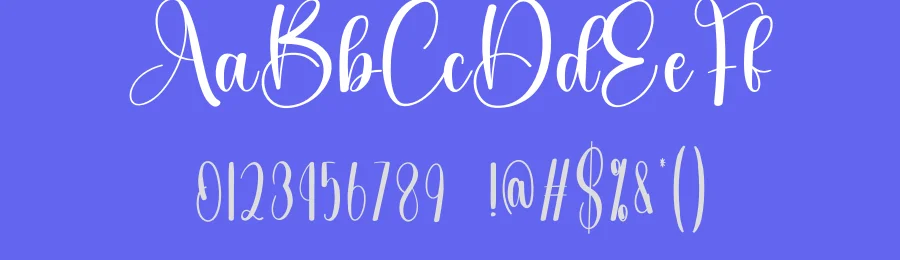Book Signature Script Font by creativeletter — Script Handwritten Font — thumbnail 3