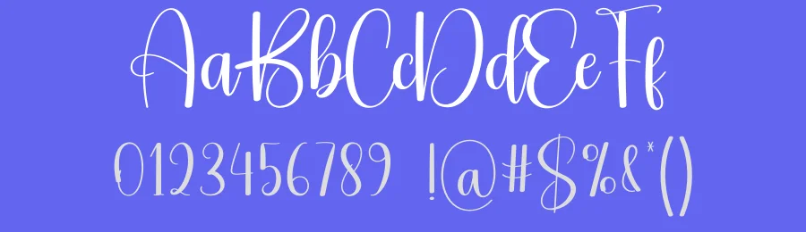 Book Signature Script Font by creativeletter — Script Handwritten Font — thumbnail 3