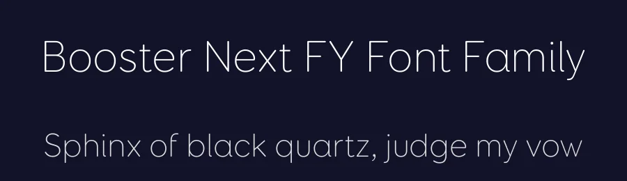 Booster Next FY Font Family by Black Foundry — Sans Serif Font — thumbnail 2