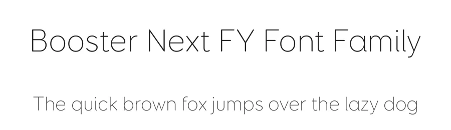 Booster Next FY Font Family by Black Foundry — Sans Serif Font