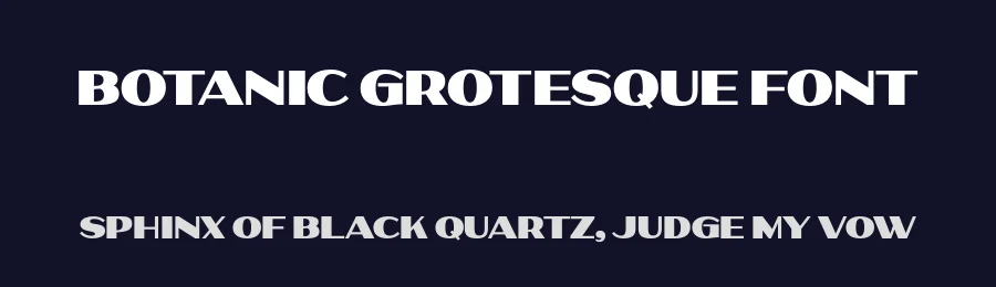 Botanic Grotesque Font by Foundry5 — Display Font — thumbnail 2
