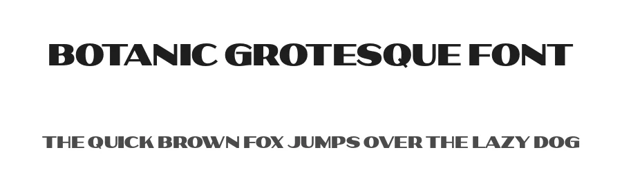Botanic Grotesque Font by Foundry5 — Display Font