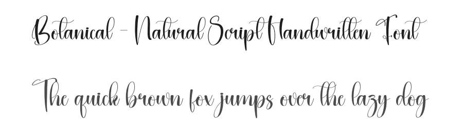 Botanical – Natural Script Handwritten Font by creativeletter — Script Handwritten Font