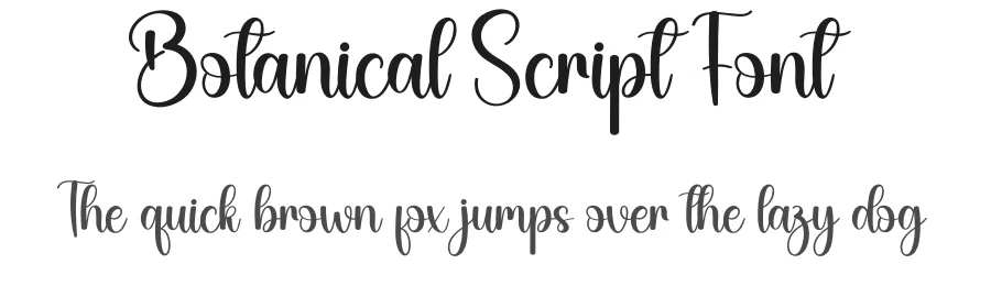 Botanical Script Font by creativeletter — Script Handwritten Font
