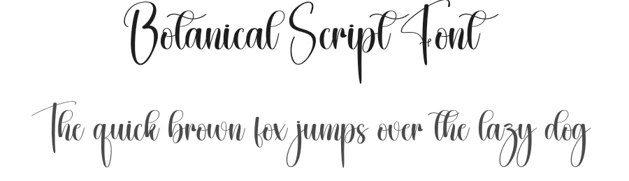 Botanical Script Font by creativeletter — Script Handwritten Font
