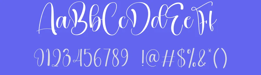 Bothered Calligraphy Font by creativeletter — Script Handwritten Font — thumbnail 3