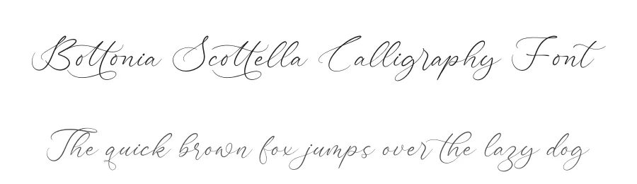 Bottonia Scottella Calligraphy Font by stylishtype.co — Script Handwritten Font