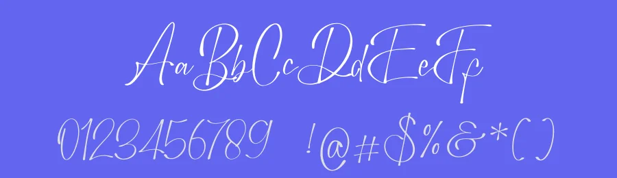 Bounthy Flow Font by Denustudios — Serif Font — thumbnail 3