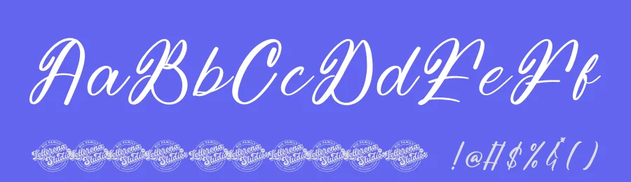 Bounty Motion Font by letterenastudios — Script Handwritten Font — thumbnail 3