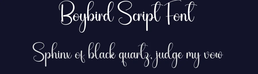 Boybird Script Font by creativeletter — Script Handwritten Font — thumbnail 2