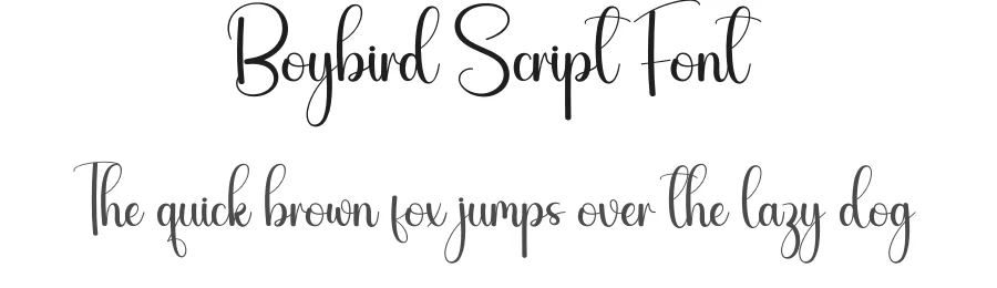 Boybird Script Font by creativeletter — Script Handwritten Font