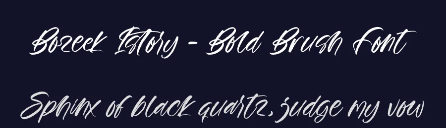 Bozeek Istory – Bold Brush Font by stylishtype.co — Script Handwritten Font — thumbnail 2
