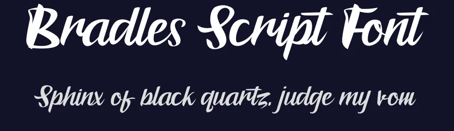 Bradles Script Font by agniardi — Script Handwritten Font — thumbnail 2