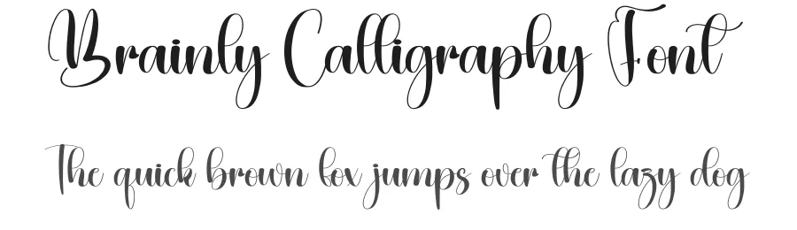 Brainly Calligraphy Font by creativeletter — Script Handwritten Font