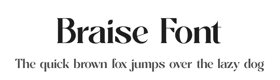 Braise Font by timelesstype.co — Display Font