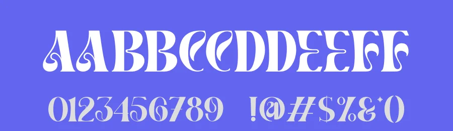 Brams Font by ErgibiStudio — Serif Font — thumbnail 3