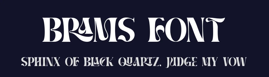 Brams Font by ErgibiStudio — Serif Font — thumbnail 2