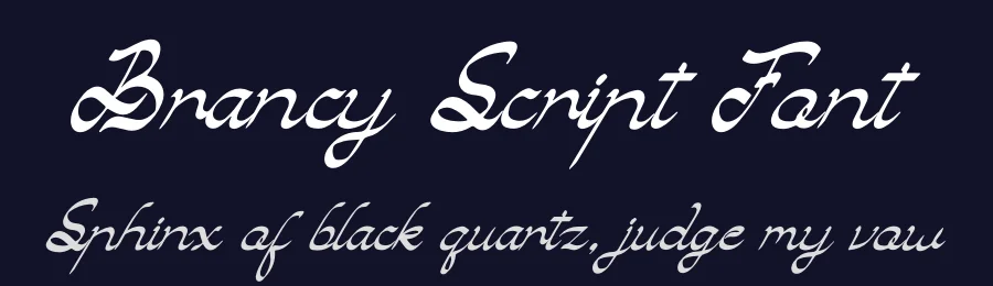 Brancy Script Font by Denustudios — Script Handwritten Font — thumbnail 2
