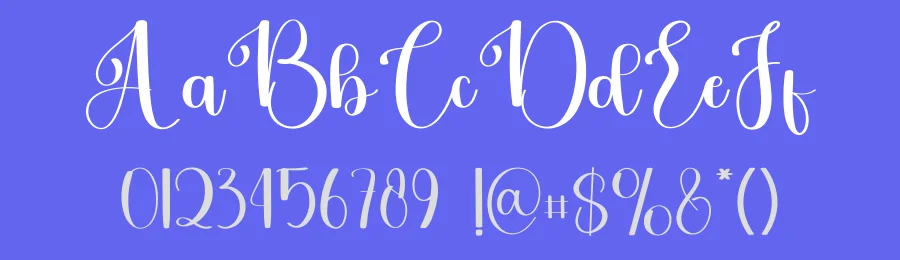 Brandenly – Stylish Handwritten Script Font by freshtypeink — Script Handwritten Font — thumbnail 3