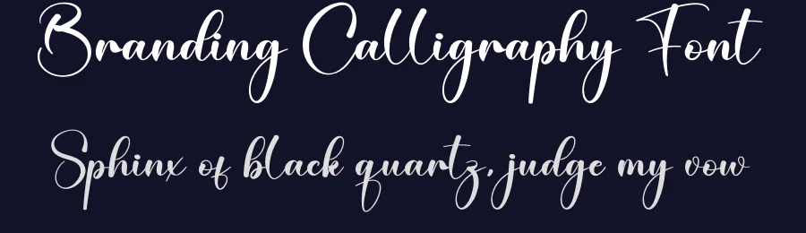 Branding Calligraphy Font by creativeletter — Script Handwritten Font — thumbnail 2