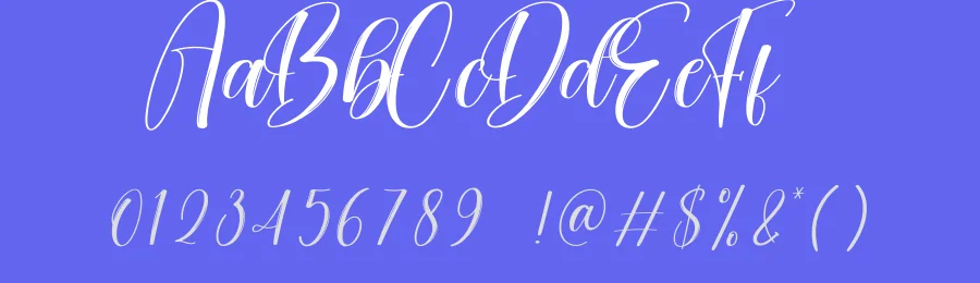 Branding Script Font by creativeletter — Script Handwritten Font — thumbnail 3