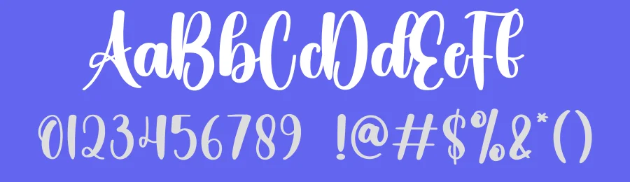 Branding Script Font by creativeletter — Script Handwritten Font — thumbnail 3