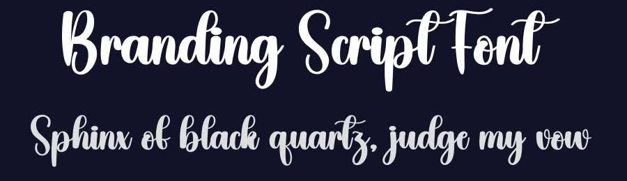 Branding Script Font by creativeletter — Script Handwritten Font — thumbnail 2