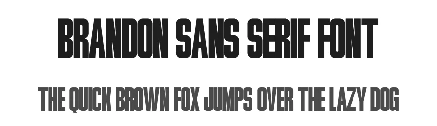Brandon Sans Serif Font by Funtype — Decorative Font