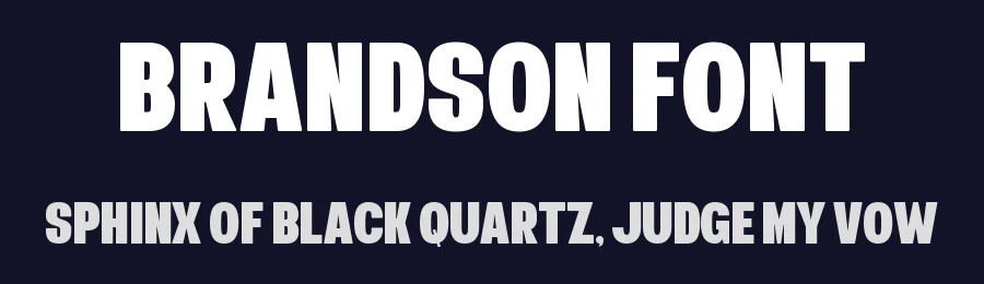 Brandson Font by Almairatype — Display Font — thumbnail 2
