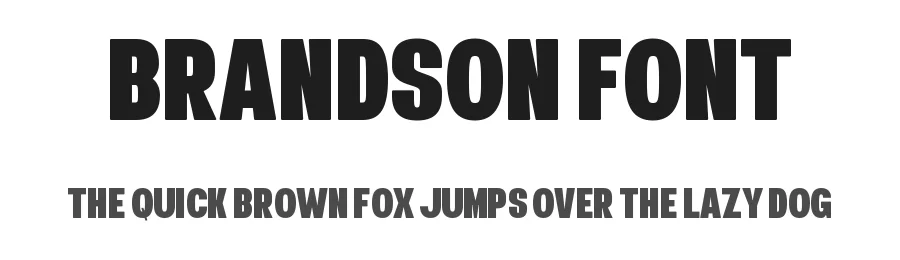 Brandson Font by Almairatype — Display Font