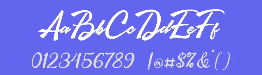 Brastigma Signature Font by Basnistudio — Script Handwritten Font — thumbnail 3