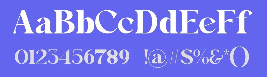 Brave Paridos Font by SlideShoot — Serif Font — thumbnail 3