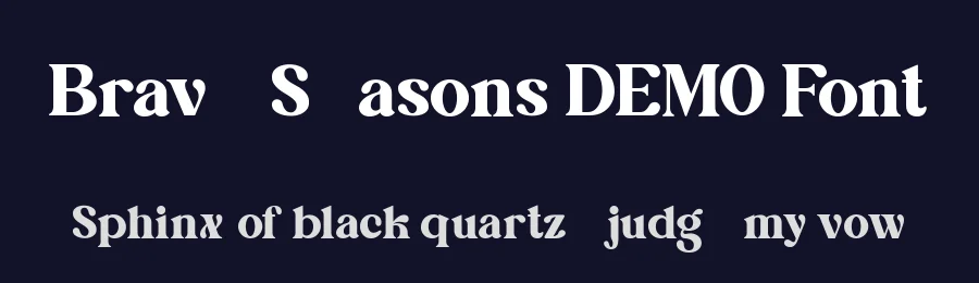 Brave Seasons DEMO Font by Fontliner — Serif Font — thumbnail 2