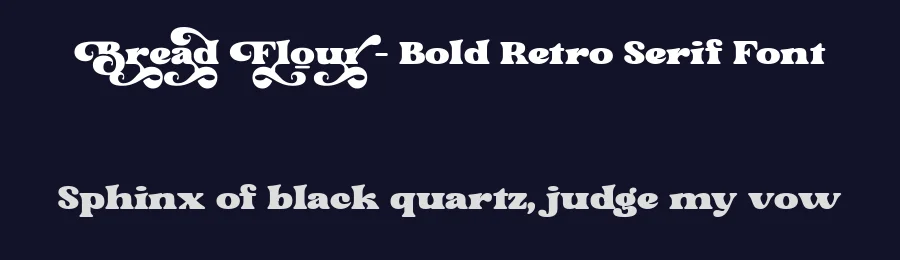 Bread Flour – Bold Retro Serif Font by Prioritype Co — Display Font — thumbnail 2
