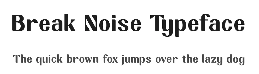 Break Noise Typeface by timelesstype.co — Display Font