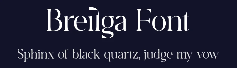 Breilga Font by Storytype — Serif Font — thumbnail 2