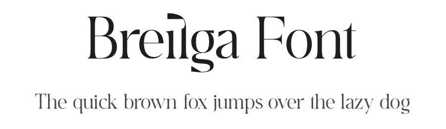 Breilga Font by Storytype — Serif Font