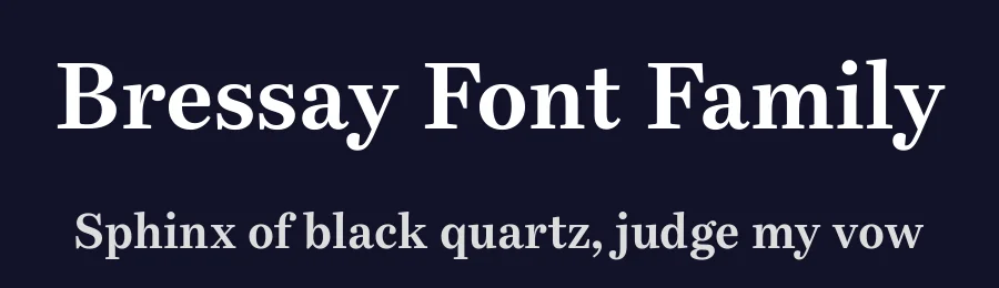 Bressay Font Family by daltonmaag — Serif Font — thumbnail 2