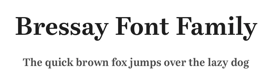 Bressay Font Family by daltonmaag β Serif Font