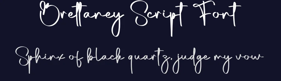 Brettaney Script Font by creativeletter — Script Handwritten Font — thumbnail 2