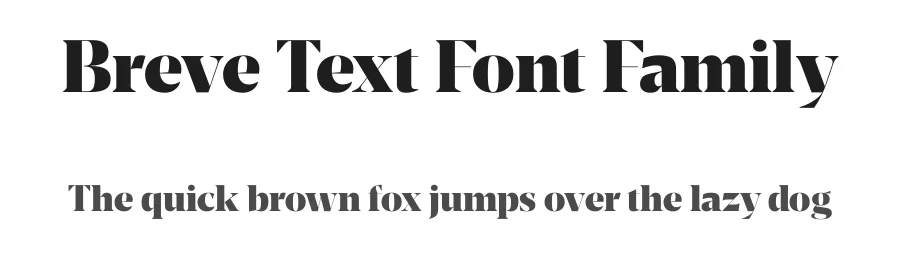 Breve Text Font Family by djfrankocol — Sans Serif Font