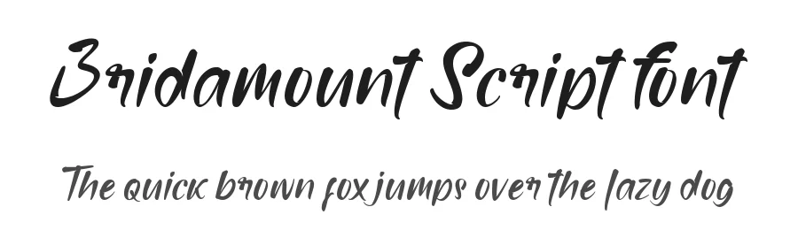 Bridamount Script Font by GlyphStyle — Script Handwritten Font