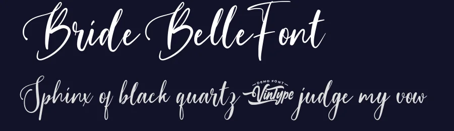 Bride Belle Font by VinType — Script Handwritten Font — thumbnail 2