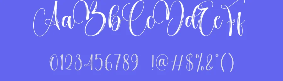 Bride Brush Font by creativeletter — Script Handwritten Font — thumbnail 3