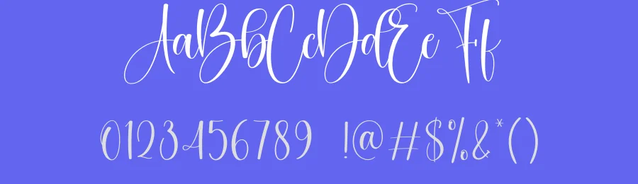 Bride Calligraphy Font by creativeletter — Script Handwritten Font — thumbnail 3