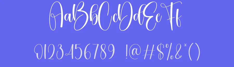 Bride Calligraphy Font by creativeletter — Script Handwritten Font — thumbnail 3